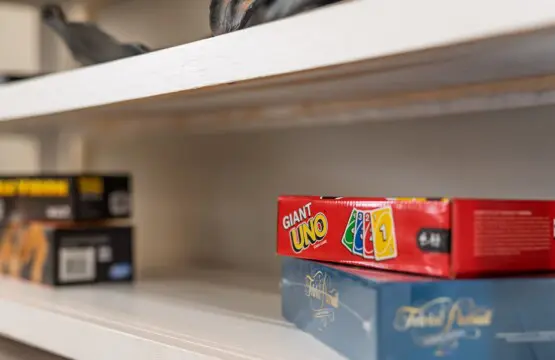 107195f8c1a44682a3ebd433965a8e4c LargeOriginal.jpg