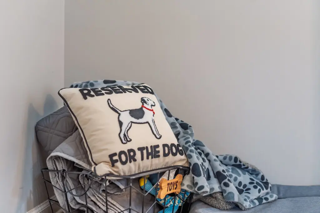 e52464dfc4e844ffaae14e27e1d7bc6d LargeOriginal.jpg