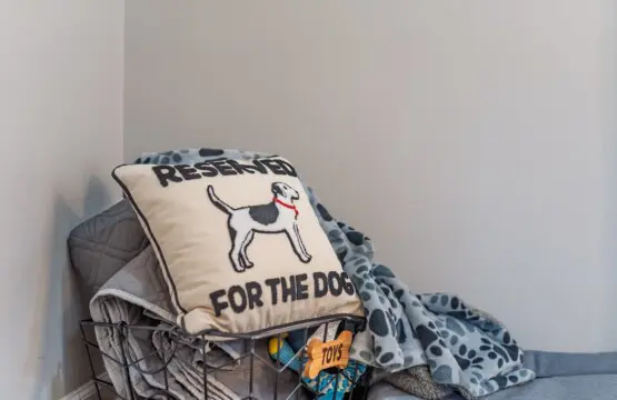 e52464dfc4e844ffaae14e27e1d7bc6d LargeOriginal.jpg